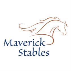 Pensionstal Maverick Stables te Lelystad, openingstijden