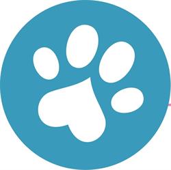 Kattenhotel Catz te Deurne, openingstijden