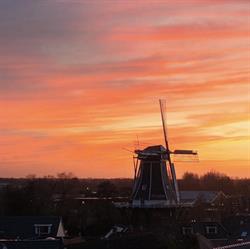 Molen Fortuna Noordhorn, openingstijden