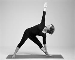 Fruits of Yoga, Bussum openingstijden