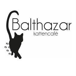Kattencafé Balthazar, Nijmegen openingstijden
