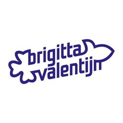 Scouting Brigitta/Valentijn, 's-Gravenhage openingstijden