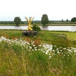 Nature-Art, Cuijk openingstijden