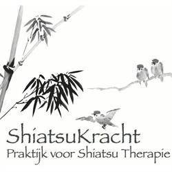 Shiatsu ShiatsuKracht Praktijk voor Shiatsutherapie, Kerkrade openingstijden