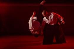 Aikido Aikikai Den Helder, openingstijden