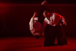 Aikido Aikikai Den Helder, openingstijden