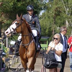 MFS Horses, America openingstijden