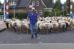 Landschapsbeheer het Witterveld, Assen openingstijden