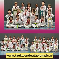 Taekwondo Ata Olympic - Rotterdam, openingstijden