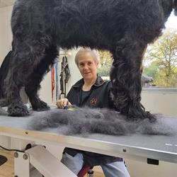 Trimsalon 4 PETS, Enschede openingstijden