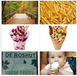 Frituur 'De Boshut', Bergen op Zoom openingstijden