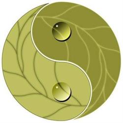 Natuurlijk in Balance, Praktijk voor Sensi therapie, Varsseveld openingstijden