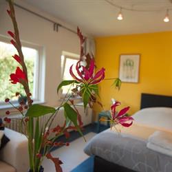 Elan B+B, Eindhoven openingstijden