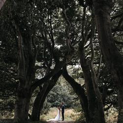 E&P Wedding Pictures, Haarlem openingstijden