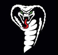 Cobra Tuning & Style, Rotterdam openingstijden
