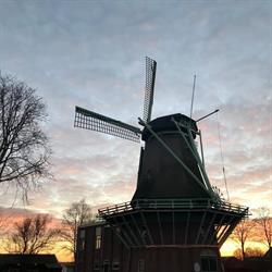 Nabij De Molen, Wijdenes openingstijden