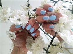 Chic Mani Pedi, 's-Gravenhage openingstijden