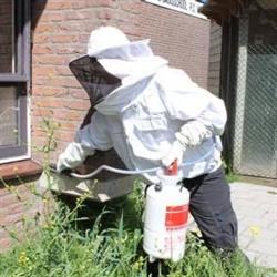 OBS - Ongedierte BestrijdSter, Dronten openingstijden