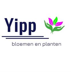 Yipp bloemen en planten, Cuijk openingstijden