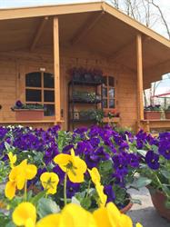 Plantenshop 16hoven, Rotterdam openingstijden