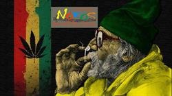 CoffeeShop Notos, Leerdam openingstijden