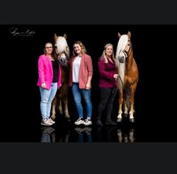Sophie's choice Horse & Holiday, Vrouwenpolder openingstijden