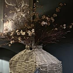 Stoer en brocante, Stadskanaal openingstijden