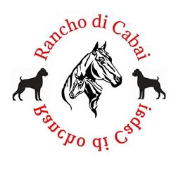 Rancho di Cabai, Ederveen openingstijden