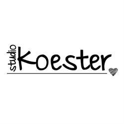 Studio Koester, 's-Gravenhage openingstijden