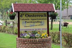 Vakantiehuisdwingeloo, Dwingeloo openingstijden