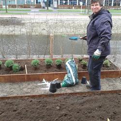 Duivenvoorden Groen, Voorschoten openingstijden