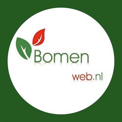 Bomenweb.nl, Ochten openingstijden