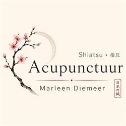 Marleen Diemeer Acupunctuur & Shiatsu Beverwijk, openingstijden