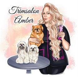 Trimsalon Amber, Breda openingstijden