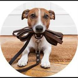 Uitlaatservice FitDoggy Veenendaal, openingstijden
