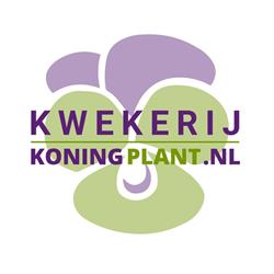 Kwekerij Koningplant Vriezenveen, openingstijden