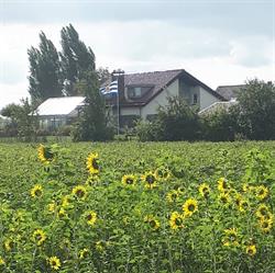 Bed and Breakfast 'De Zeemeermin', Dreischor openingstijden