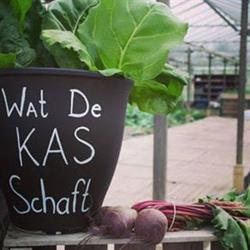 De groentestek, Hillegom openingstijden