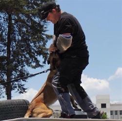 K9-Extreme, Budel-Schoot openingstijden