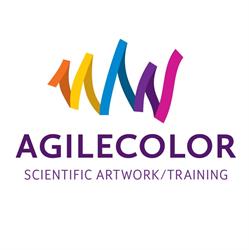 AgileColor, Koedijk openingstijden