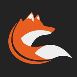 Foxmountain - Creative Visual Effects & Animations, Lieshout openingstijden