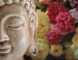 Visage Naturel, Groningen openingstijden