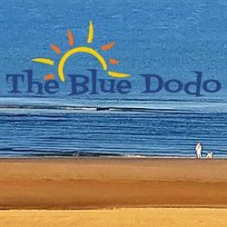 The Blue Dodo, Zandvoort openingstijden
