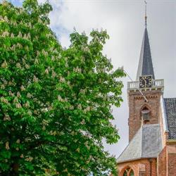 Dorpskerk Katwijk aan de Rijn, openingstijden