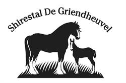 Shirestal De Griendheuvel, Dordrecht openingstijden