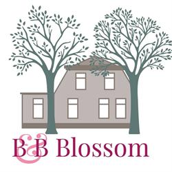 B&B Blossom, Lisse openingstijden