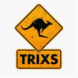 Trixs Trampolinepark, Leiderdorp openingstijden