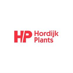 Hordijk Plants, Sleeuwijk openingstijden