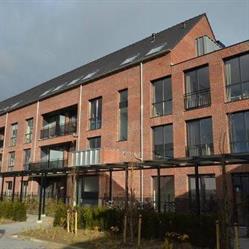 Reinaerde Singelhof, Woerden openingstijden
