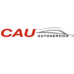 Autoservice Cau, Born openingstijden